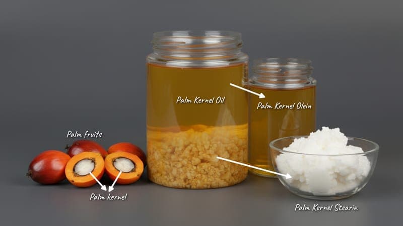 Palm Kernel Olein – edible-oils product from Bio Green Oils and Fats