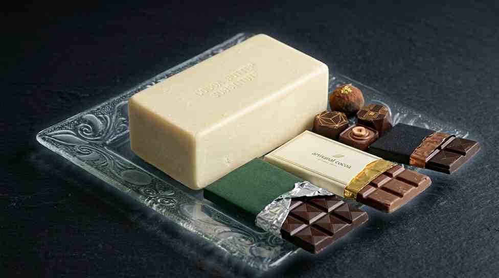 Cocoa Butter Substitute (CBS) – edible-oils product from Bio Green Oils and Fats